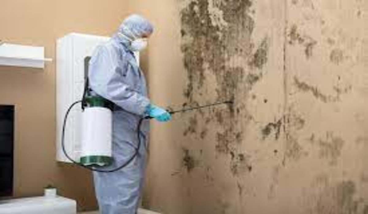 DIY Painting