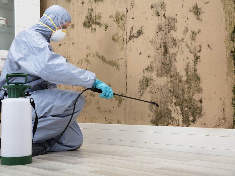 DIY Painting
