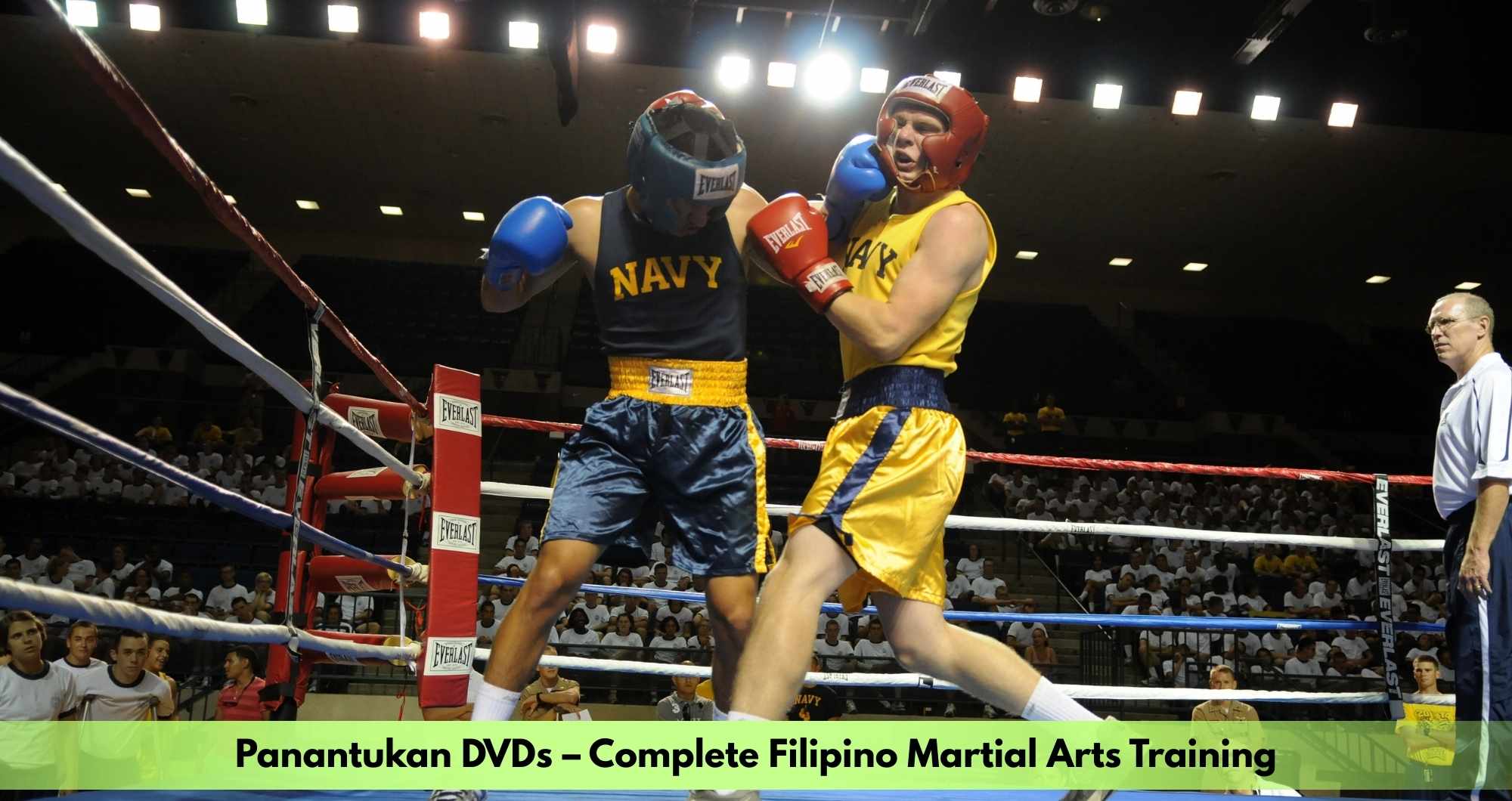 Panantukan DVDs