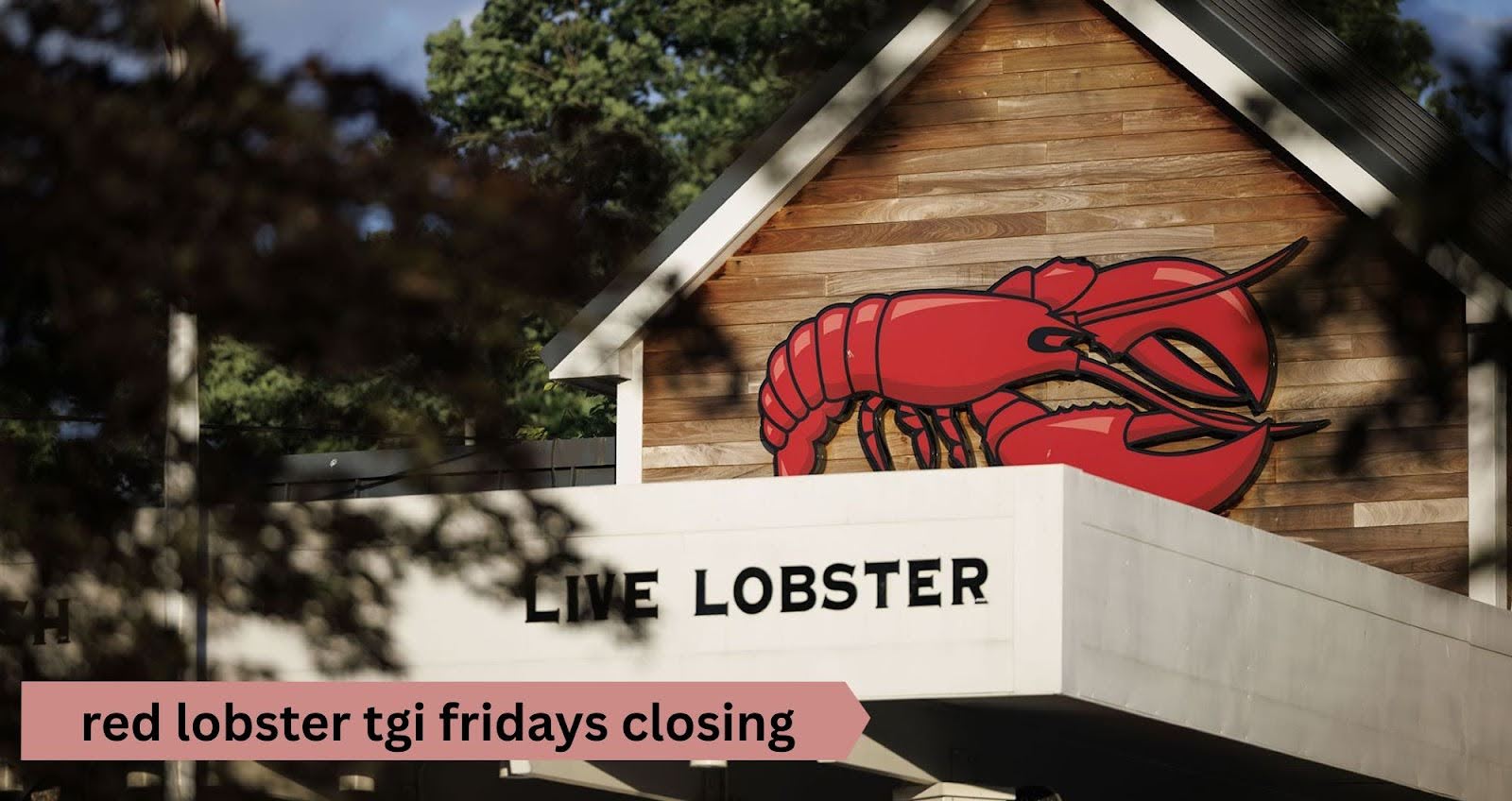 red lobster tgi fridays closing