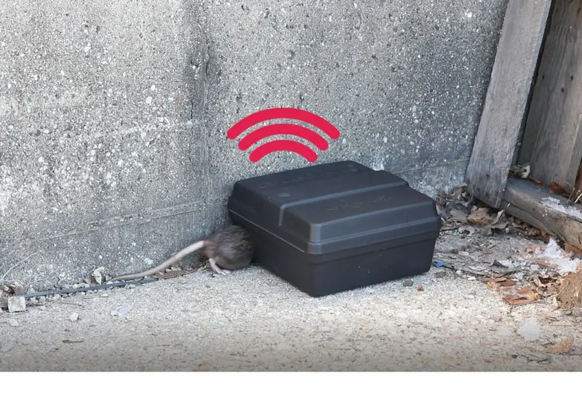 Bait Boxes to Big Data