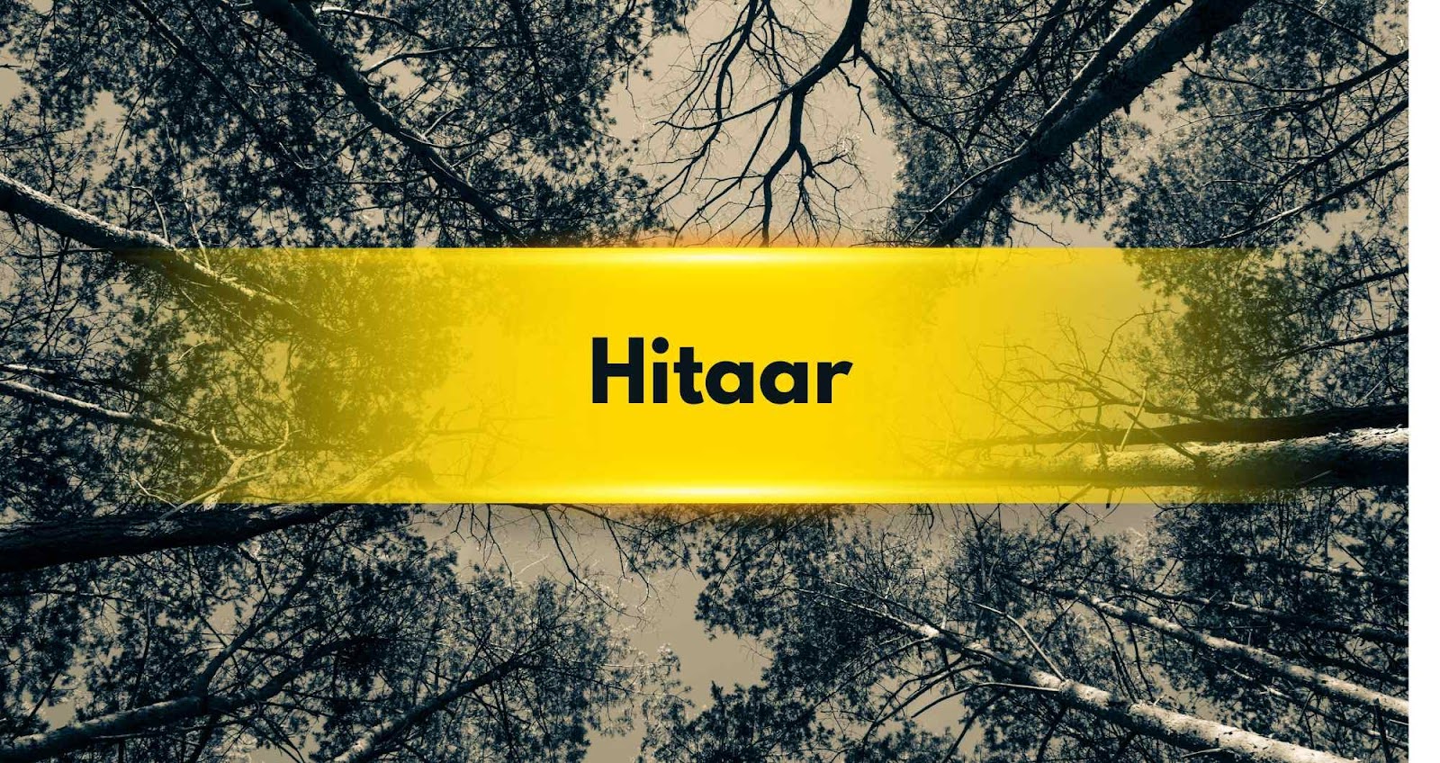 Hitaar