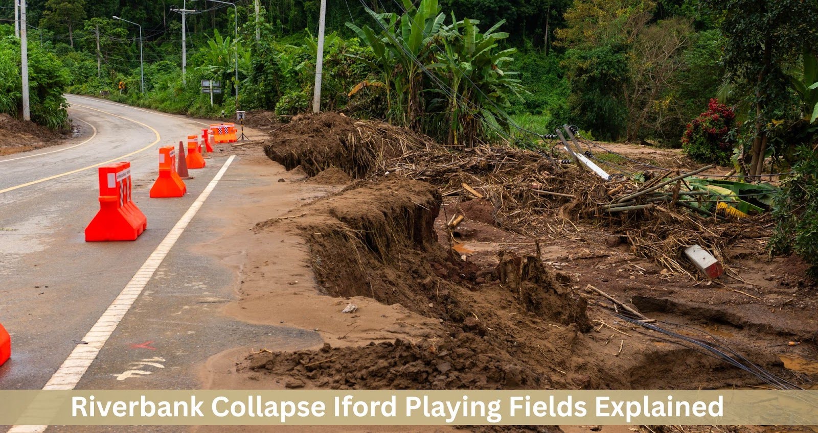 Riverbank Collapse Iford Playing Fields