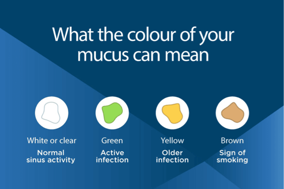 Yellow Mucus vs. Clear Mucus