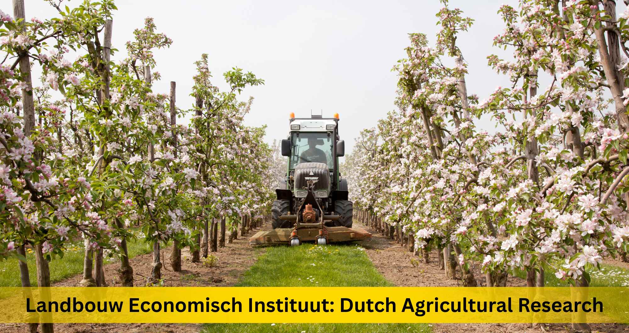 Landbouw Economisch Instituut
