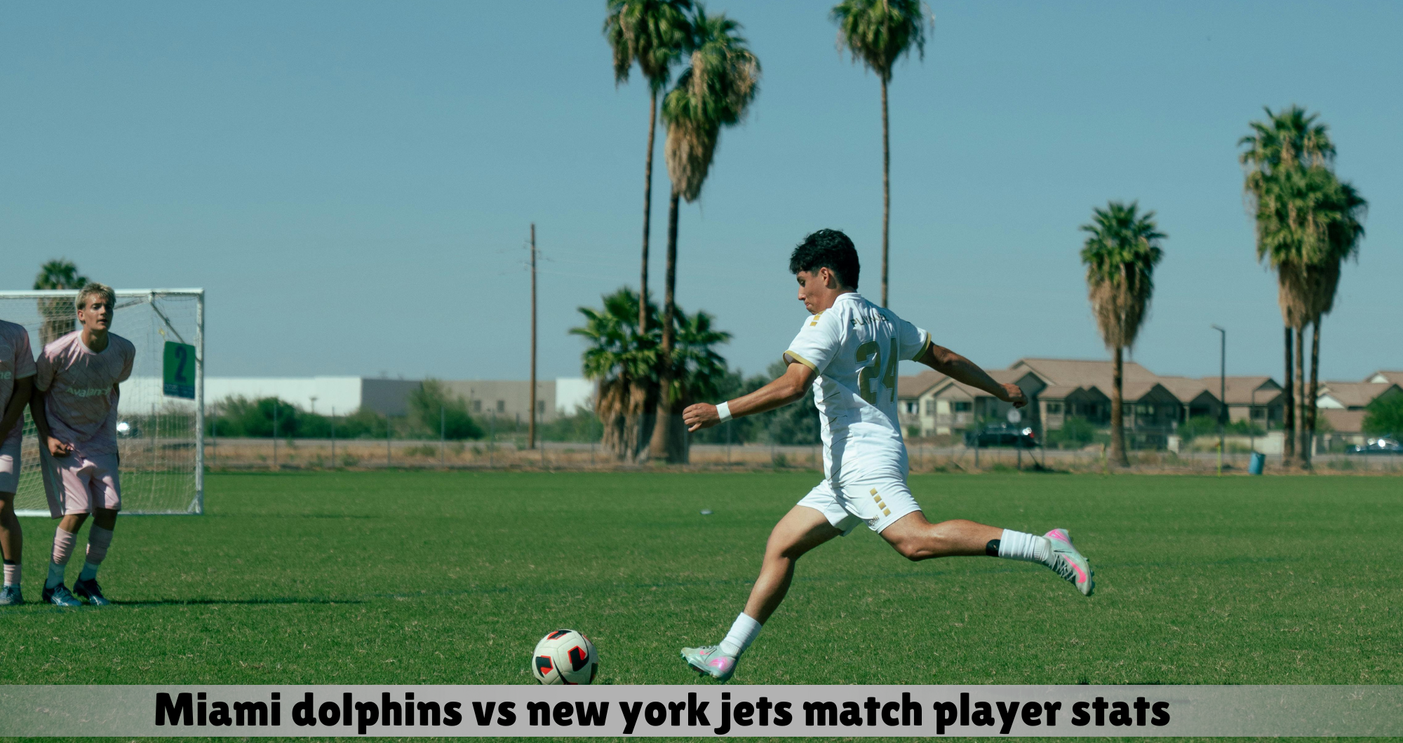 miami dolphins vs new york jets match player stats